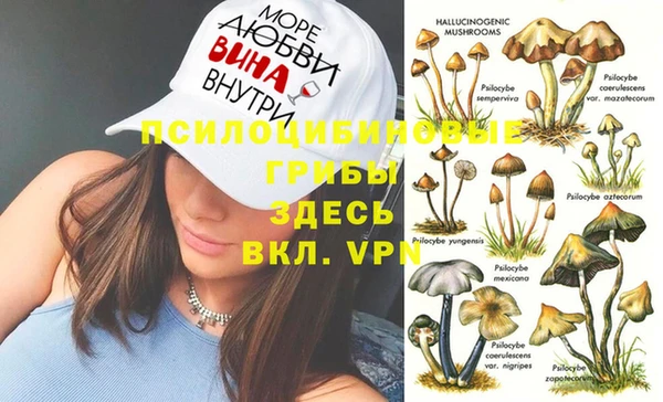 гидра Армянск