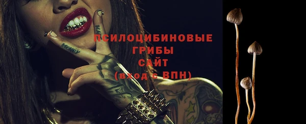 МДМА Арсеньев
