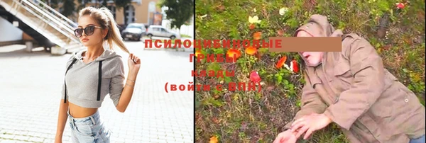 прущая мука Аркадак